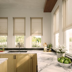 Classic 1 Inch Cordless Vinyl Blinds
